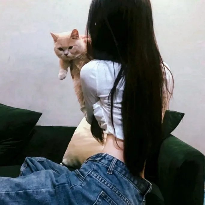 替天行道 在线观看